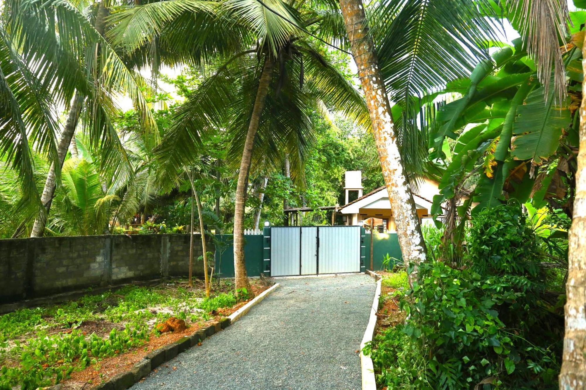Sandy Palms Guesthouse Hikkaduwa Exterior foto